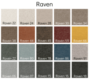 Raven-scaled-e1772799362973.png